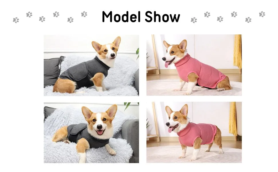 Dogs and cat vest to relieve anxiety. - Modell Show
