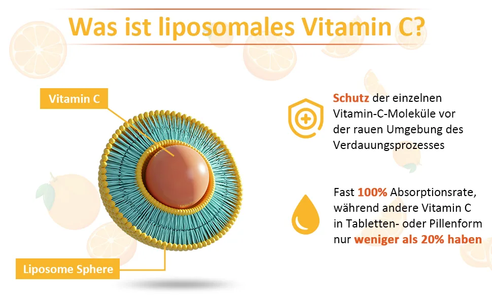 Liposomal vitamin C capsules 2000mg (4 pack) maximum absorption high-dose Vit C ascorbic acid antioxidant supplement soy-free non-gmo 60 pieces (4 Pack) - Yapila Liposomales VC Kapseln