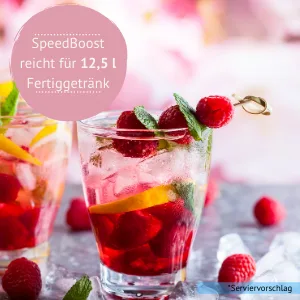 HCGC The original basic package with push-it |With original Speedboost sugar -free syrup |30 days of nutritional supplements |21 days of metabolic cure |Brochure |(Mango melon) - zuckerfreies Getränk, vitamin getränk, speedboost, stoffwechselkur, hcg diät, stoffwechsel anregen