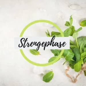 HCGC The original basic package with push-it |With original Speedboost sugar -free syrup |30 days of nutritional supplements |21 days of metabolic cure |Brochure |(Lime mint) - hcgdiät, stoffwechselkur, 21 tage stoffwechselkur, hcg paket, c30 globuli, hcgc, hcg komplettpaket
