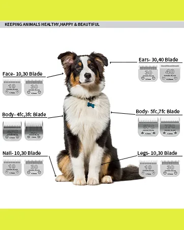 10/30/40/7FC/4FC/3FC Ceramic dog clads compatible with Moser 45-50/Heiniger/Andis/Easter A5/choice KM10 series 7 Series Pack Gold 10+30+7fC+5fC+4FC+3FC - product information 25