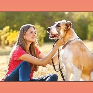 PETTING IS CARING Washable and Reusable Dog Diapers Male 3 Pack M EXCLUSIVE DESIGN - product information 2