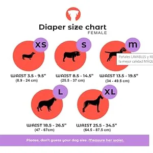 PETTING IS CARING Washable and Reusable Dog Diapers Male and Female Dogs 3 Pack S EXCLUSIVE DESIGN - Female