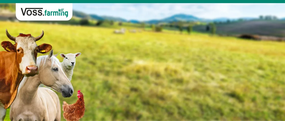 VOSS.farming gate handles in a pack of 5 blue with hooks for the pasture fence - VOSS.farmig Banner