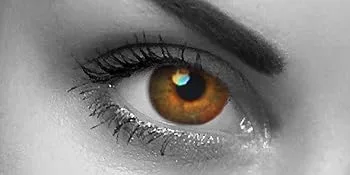 2 colored contact lenses "Hazelnut Brown" - 2x brown contact lenses without prescription + free contact lens case - Braune Linsen