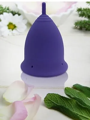 Avaloona menstrual cup cleaning cup foldable - sterilization cup for storage and cleaning (purple) 1 piece (1 -pack) cleaning cup - Menstrual Cup