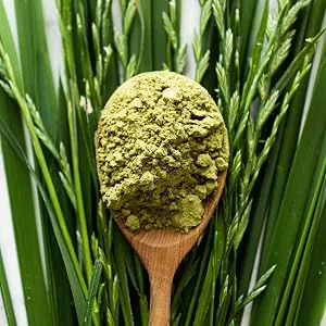 Gerstengrass powder organic 550g advantage pack from German cultivation organic quality from Bavaria barley grass powder vegan laboratory testing biological cultivation - gerstengras