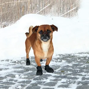 Dog Boots 4 Pack Waterproof Dog Shoes with Reflective Adjustable Straps for Small Medium Dogs (A 1) A 1 - snow