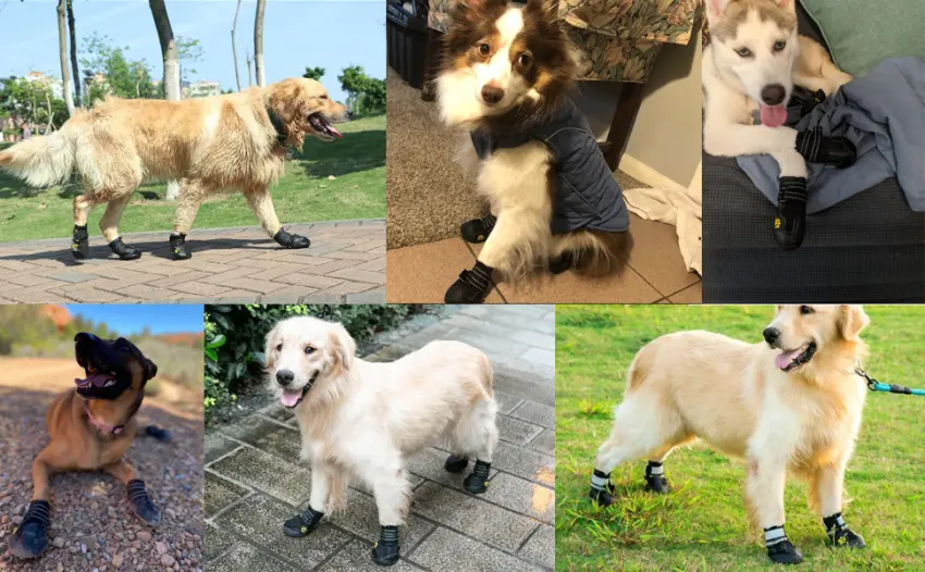 Dog boots 4 pieces waterproof dog shoes with reflective adjustable straps for small medium sized dogs (A 4) A 4 - waterproof