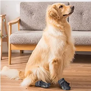 Dog boots 4 pieces waterproof dog shoes with reflective adjustable straps for small medium sized dogs (A 5) A 5 - door