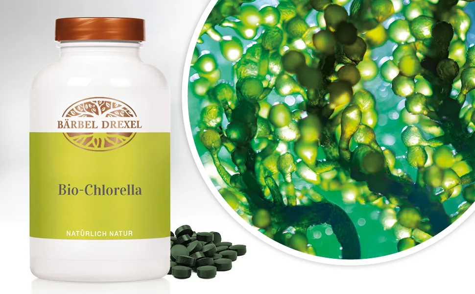B rbel Drexel Bio-Chlorella Presslinge 2400mg algae powder per daily dose certified organic without additives vegan (600 pcs) 100% vegan production Germany without additives chlorophyll tablets - Bärbel Drexel Bio-Chlorella Presslinge
