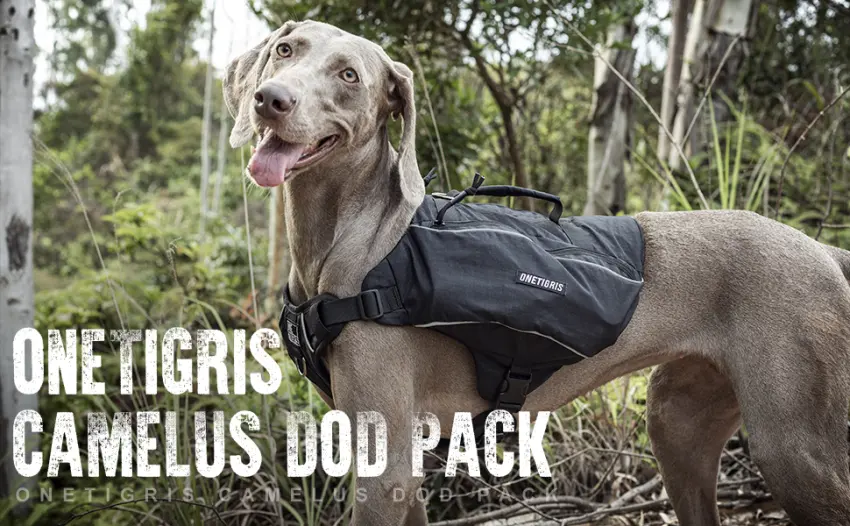 OneTigris CAMELUS Dog Backpack Tear Camping Hiking Dog Backpack for M/L Size Dogs (l Black) L Black - hunderucksack