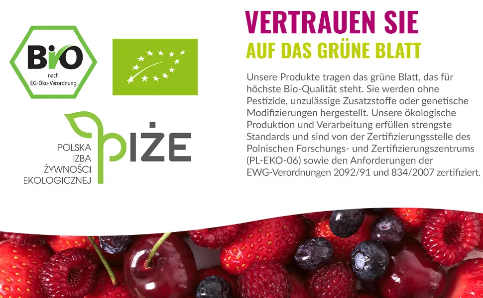 Berries polska organic juice pressed directly from organic fruit cold -pressed - without dyes without sugar without GMO without preservatives - vegan vegetarian - taste ginger - 250ml ginger 250 ml (1 Pack) - berries