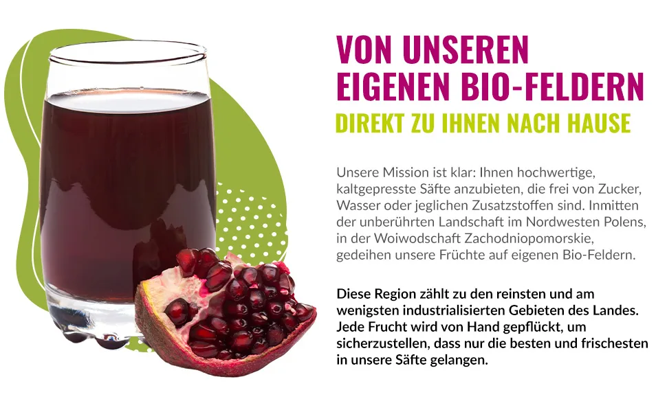 Berries polska bio juice pressed directly from organic fruit cold -pressed - without dyes without sugar without GMO without preservatives - vegan vegetarian - taste cherry - 250ml cherry (1 Pack) - berries