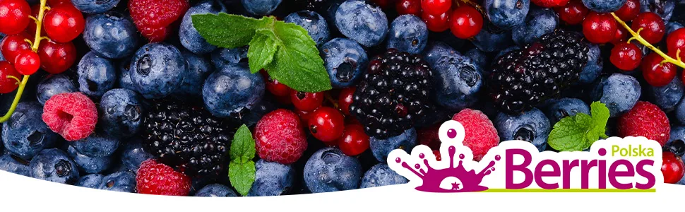 Organic raspberry juice 6 Pack (6x250ml) - organic pure raspberry -thirk juice - 100% cold -pressed raspberry mother juice - without dyes without sugar without GMO without preservatives - vegan - Berriespolska raspberry 250 ml (6 Pack) - berries