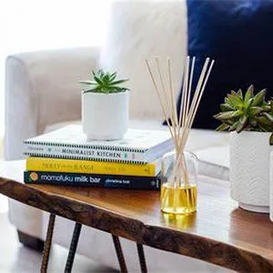 HOSSIAN 30cm Reed Diffuser Sticks Diffuser Sticks Reed Sticks Aroma Diffuser Sticks for Aroma Fragrance (60 Pack) - Ersatz-Nachfüllstäbchen5