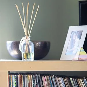 HOSSIAN 30cm Reed Diffuser Sticks Diffuser Sticks Reed Sticks Aroma Diffuser Sticks for Aroma Fragrance (60 Pack) - Ersatz-Nachfüllstäbchen6