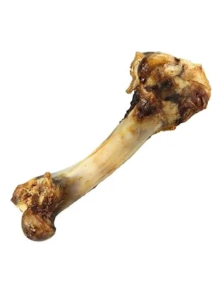 Schecker dog bones - lamb bones - dried - quantity - without additives - also for allergy sufferers - 6 pieces 1 piece (pack of 6) - Schecker - getrockneter Lammknochen