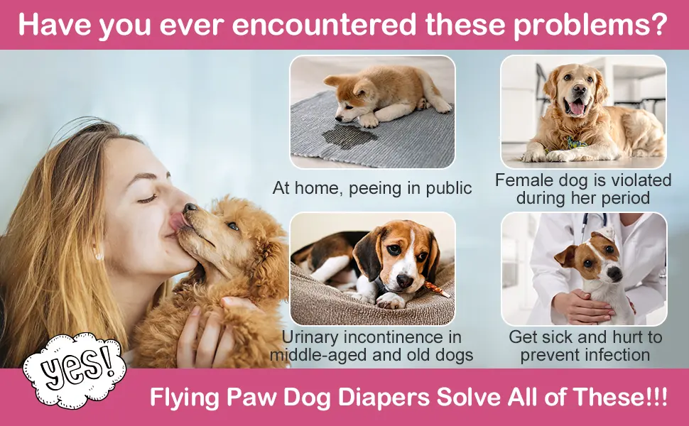 Flying Paws Disposable Dog Diapers Suitable for Dogs and Cats Adjustable Disposable Diapers 10-40 Pack (M-10 Pack) M 10.0 - nappy
