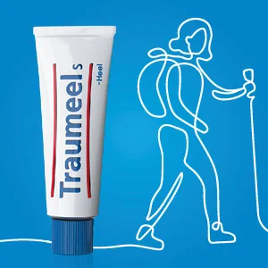 Traumeel s Creme 100 g 100 g (1 Pack) - Traumeel S Creme
