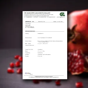 GRANAR Pomegranate Mother Juice naturally cloudy 3 x 1 litre Pomegranate 1 l (pack of 3) - product information 7