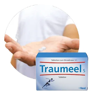 Traumeel S Tablets 250 Pcs 250 Pieces (1 Pack) - Traumeel S