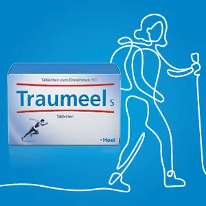Traumeel S Tablets 250 Pcs 250 Pieces (1 Pack) - Traumeel S Tabletten