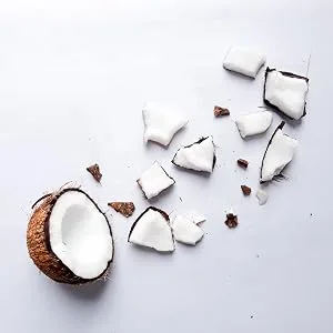 Naturkost Schulz - Coconut chips coconut chips dried natural without additives - 1 Kg - Heute wird der Kokosnuss eine gesundheitsfördernde Wirkung nachgesagt.