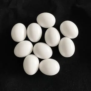 10Pcs Plastic Eggs Simulated Bird Eggs Parrot Cockatiel Eggs Bird Supplies for Racing Pigeons - product information 1