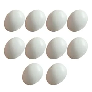 10Pcs Plastic Eggs Simulated Bird Eggs Parrot Cockatiel Eggs Bird Supplies for Racing Pigeons - product information 3
