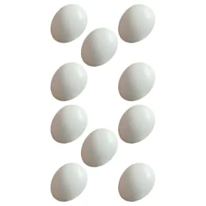 10Pcs Plastic Eggs Simulated Bird Eggs Parrot Cockatiel Eggs Bird Supplies for Racing Pigeons - product information 6