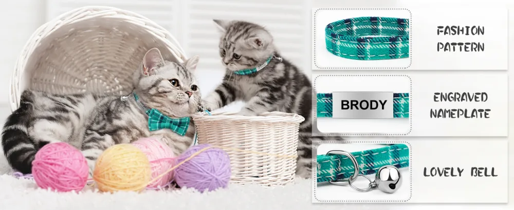 Tagme cats collars with names and telephone number kitten neck band with safety closure and bell turquoise 1 pack turquoise - cat collar