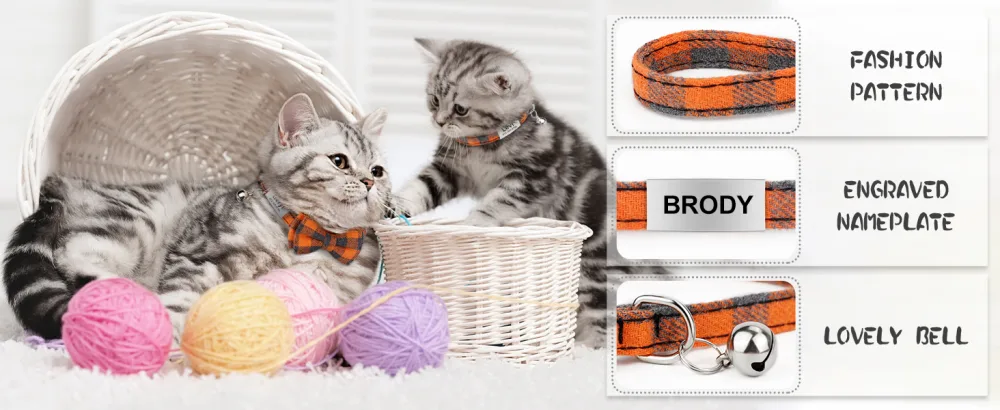 Tagme cats collars with names and telephone number kitten collar with safety closure and bell orange 1 Pack orange - cat collar