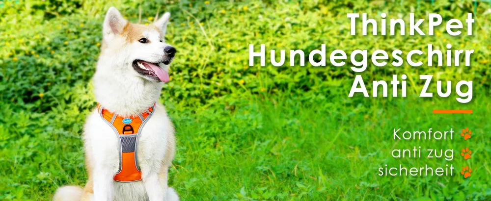 Thinkpet no-pull dog harness breathable breast dishes for small medium large dogs adjustable soft running harness safe control padded reflective safety harness orange crockery and 150cm leash set m (1 Pack) - Hundegeschirr