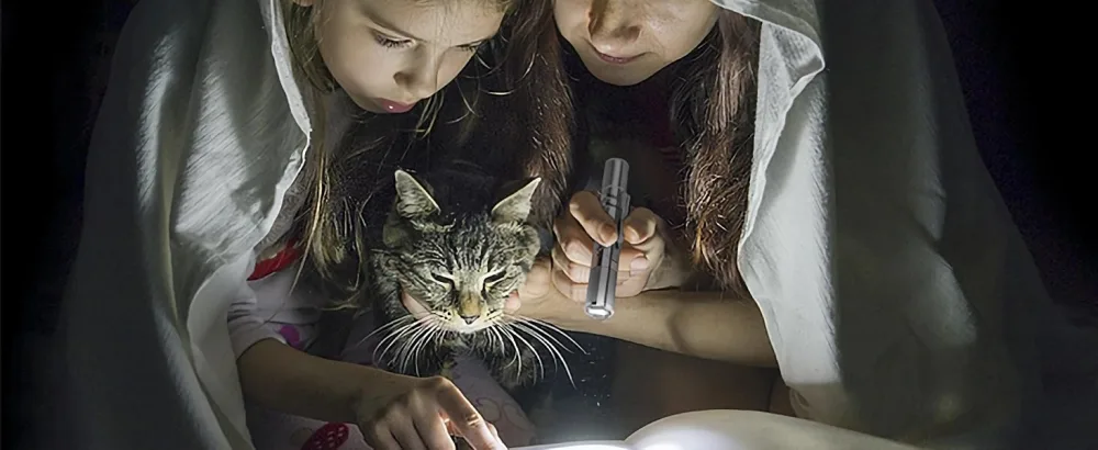 BiuCat 7 in 1 USB LED Pointer Interactive Toy for Cats Dogs Pets Rechargeable (2 Pack) - BiuCat LED Pointer