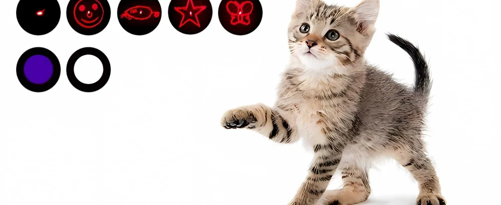 BiuCat 7 in 1 USB LED Pointer Interactive Toy for Cats Dogs Pets Rechargeable (2 Pack) - BiuCat LED Pointer
