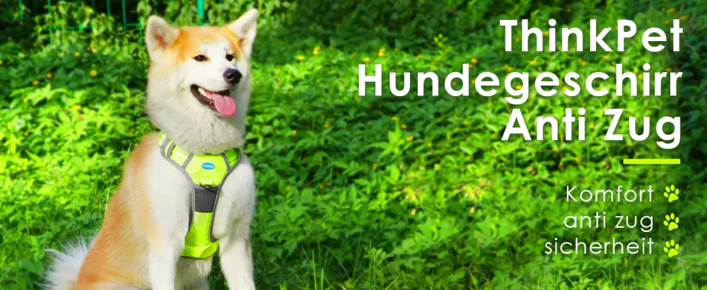 Thinkpet no-pull dog harness breathable breast dishes for small medium-sized large dogs adjustable soft running harness safe control padded reflective safety dishes green and 150cm leash set l (1 Pack) - Hundegeschirr