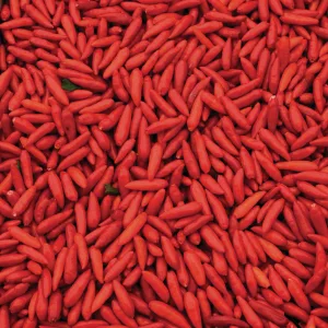 Tabasco chipotle sauce (60 ml) 1 - TABASCO CHILIS