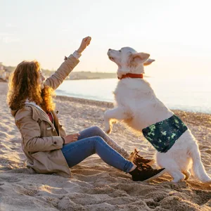 Dono 3-Pack Washable Diapers for Male Dogs with Super Absorbent - for Small Medium and Large Dogs - Army S - product information 6