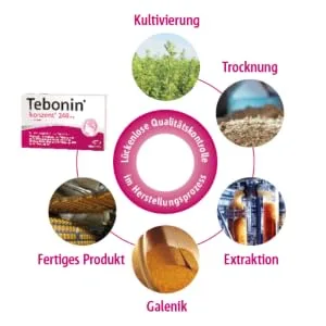 Tebonin Group 240 mg |60 tablets |strengthens memory & concentration |promotes blood circulation |In forgetfulness in old ageVegetable drug with Gingko biloba extract 60 pieces (1 Pack) - Konzentrierte Natur