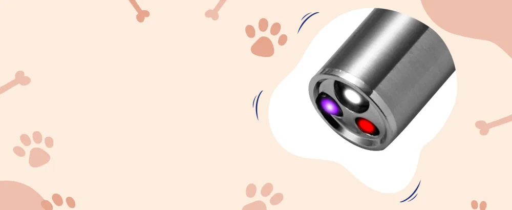 Toozey Led Pointer Cats Dog Toy Pointer with USB rechargeable 7 in 1 and 5 patterns LED pointer interactive cat toys bonus two small mice toys 1 PCs - product information 5