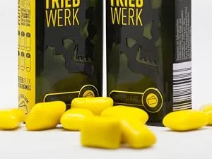 TRIEBWERK caffeine chewing gum 50mg caffeine per gum peppermint flavour 50 pieces vitamin B12 5x10pcs refill packs - Caffeine Gums mit Tin