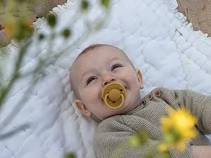 BIBSE de Lux Schnuller 2-pack BPA-free cherry shape nipple.Silicone made in Denmark.0-36 months (2 Pack) vanilla / cornflower 0-36 months (2-pack) vanilla / cornflower - Delux