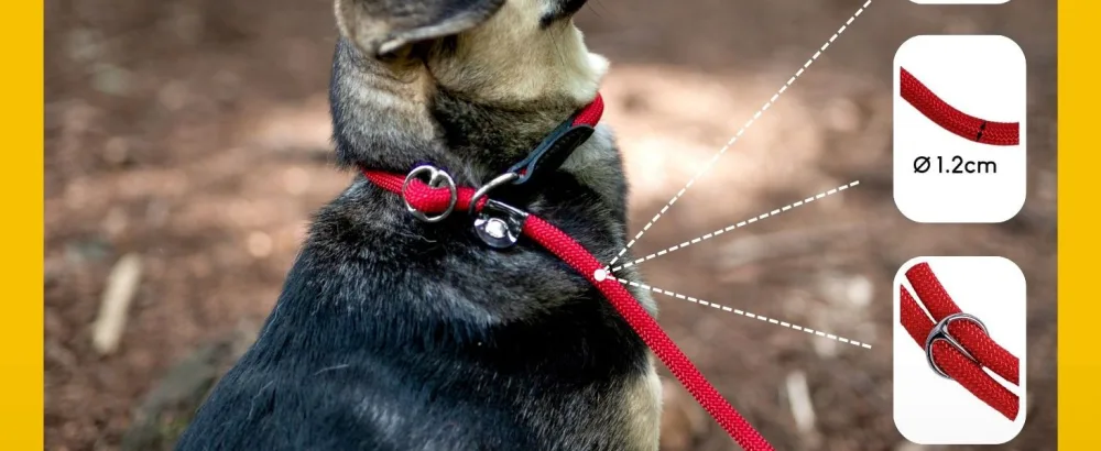 lionto retriever leash dog leash pull leash robust weatherproof length 170 cm red Red Length 170 cm - dl1009