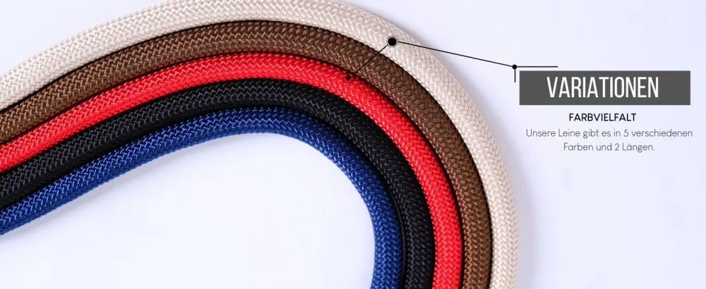 lionto retriever leash dog leash pull leash robust weatherproof length 170 cm red Red Length 170 cm - dl1009