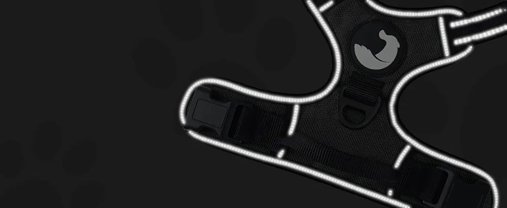 Joytale dog harness Small dogs reflective soft padded dogs curve ant train adjustable breathable breast dishes with safe simple control handle black s s (1 Pack) black - Hundegeschirr