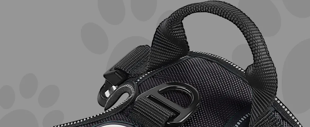 Joytale dog harness Small dogs reflective soft padded dogs curve ant train adjustable breathable breast dishes with safe simple control handle black s s (1 Pack) black - Hundegeschirr