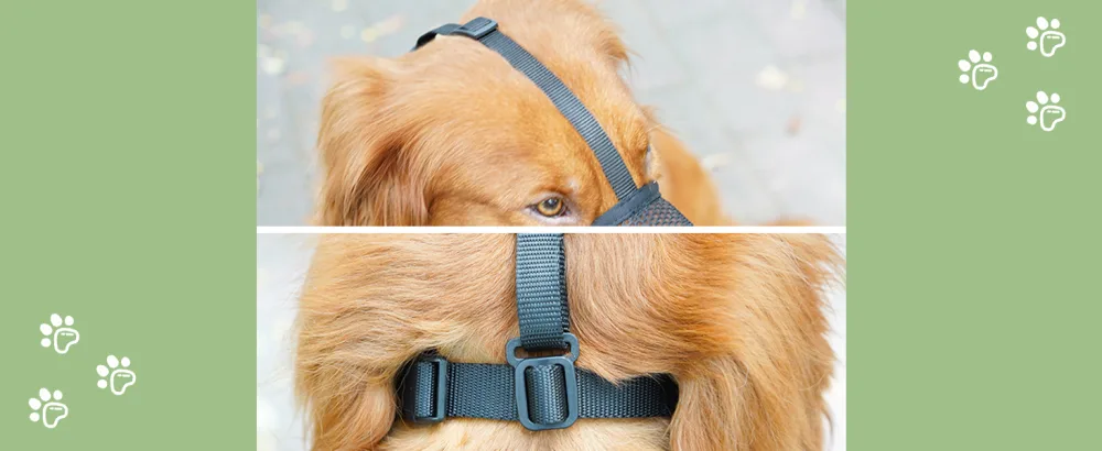 Muzzle for dogs soft muzzle for small medium-sized and large dogs adjustable puppy muzzle baskets to catch bite licking and chewing enables black m- (snout: 9 "-10 ") - dog muzzle for large dogs