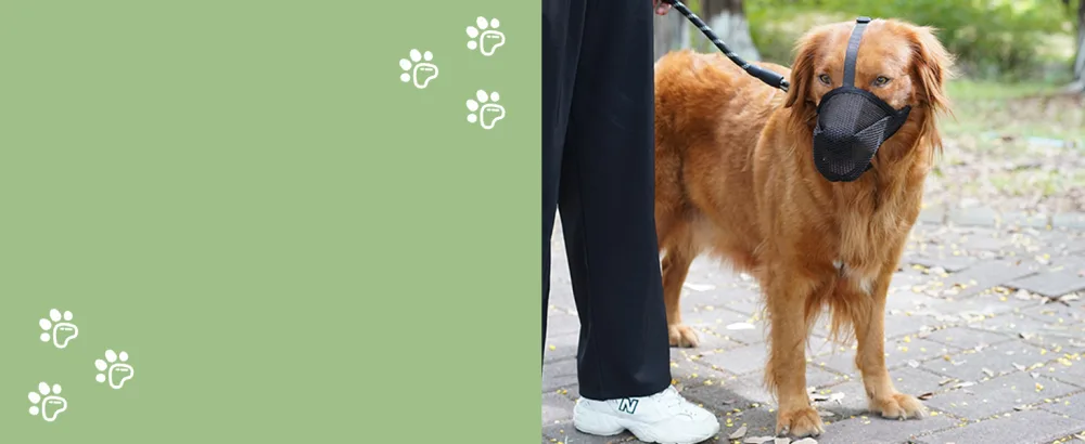 Muzzle for dogs soft muzzle for small medium-sized and large dogs adjustable puppy muzzle baskets to catch bite licking and chewing enables black m- (snout: 9 "-10 ") - dog muzzle for walking
