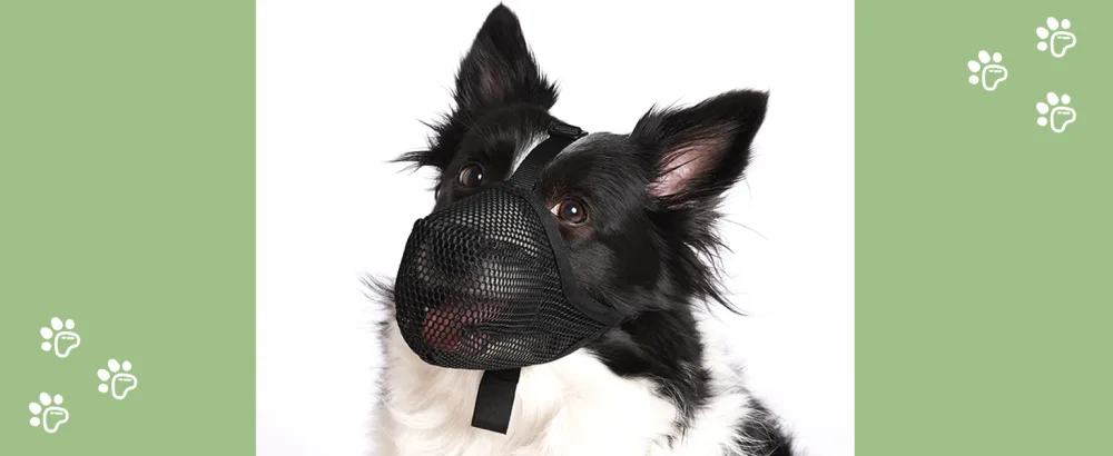 Muzzle for dogs soft muzzle for small medium-sized and large dogs adjustable puppy muzzle baskets to catch bite licking and chewing enables black m- (snout: 9 "-10 ") - muzzle for large sized dog